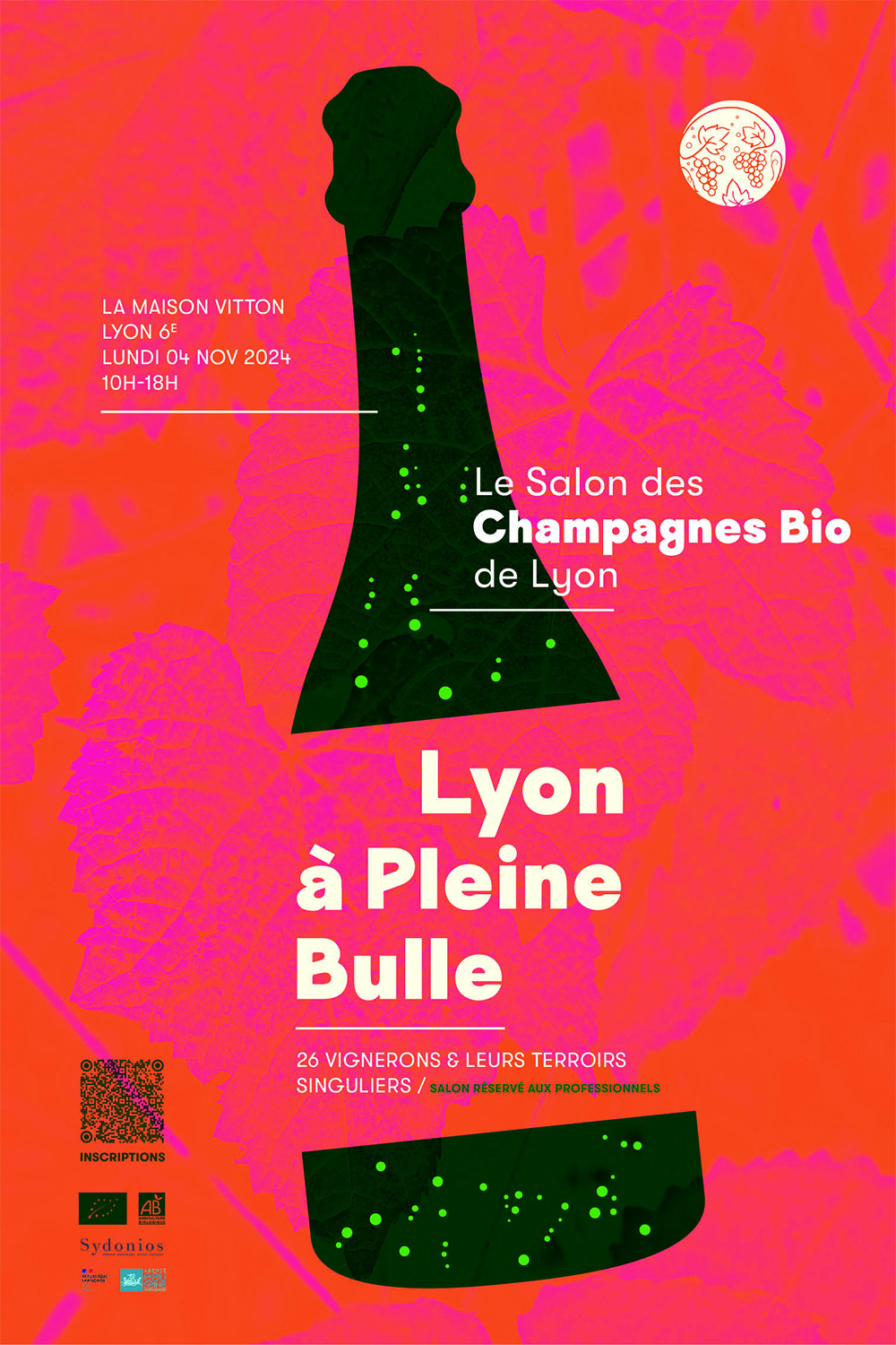 « LYON A PLEINE BULLE »