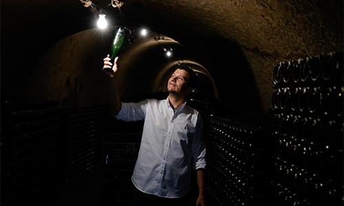 056©benjamin_segura_corpo.champagne.fresne.ducret.2016.DSCF7761_500x300