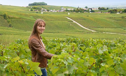 CHAMPAGNE VIRGINIE BERGERONNEAU