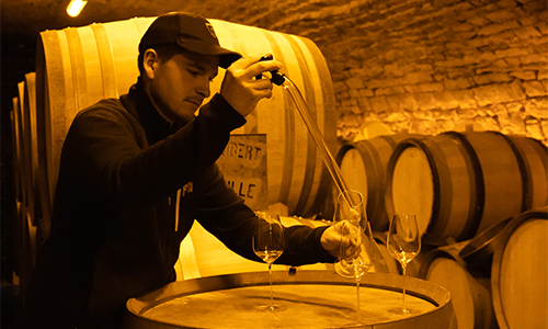 Clément robert 2_500x300